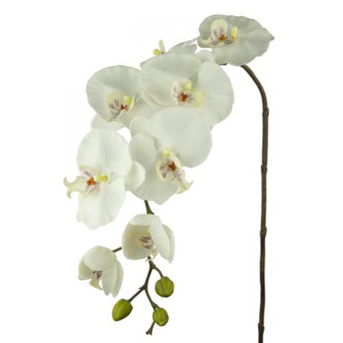 Real Touch Phalaenopsis Orchid Ivory 100cm Artificial Flowers 9595